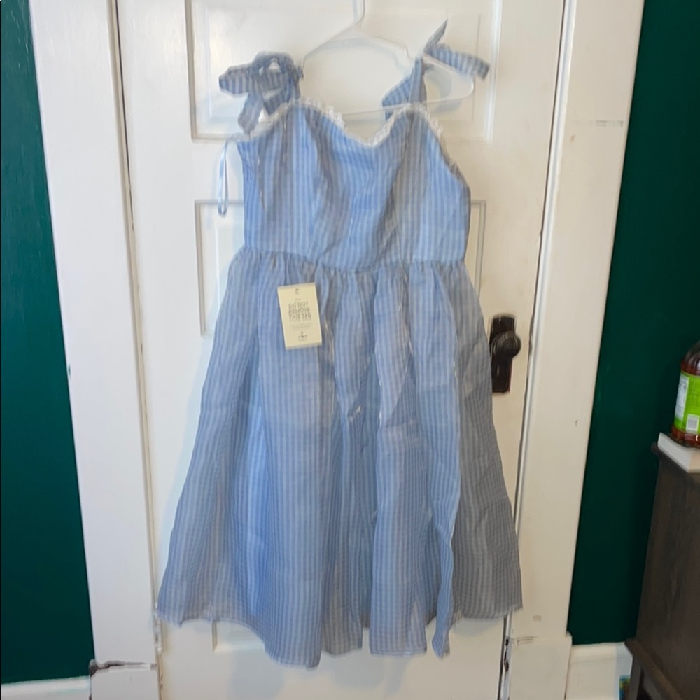 JessaKae Blue Gingham Organza Dress